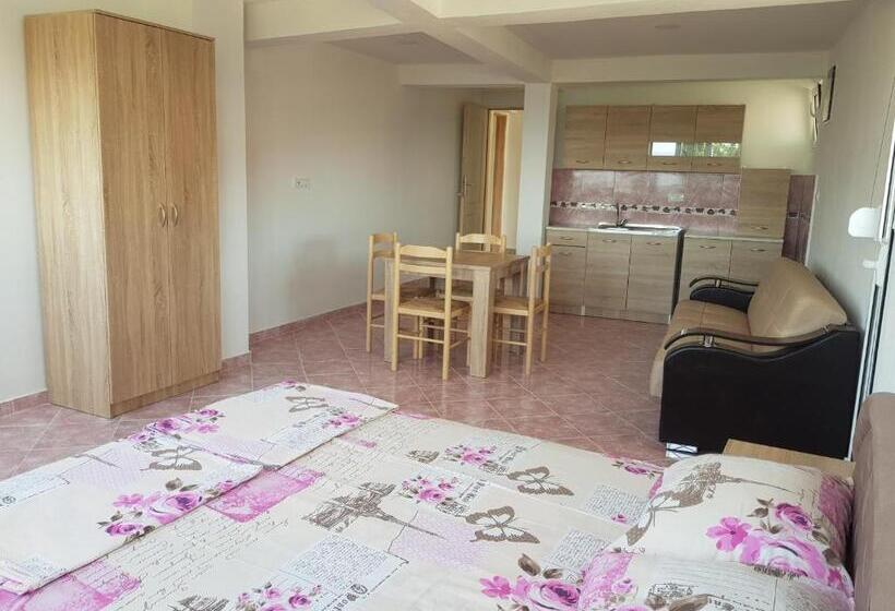 آپارتمان 1 خوابه با چشم‌انداز دریا, Guest House Dragomir