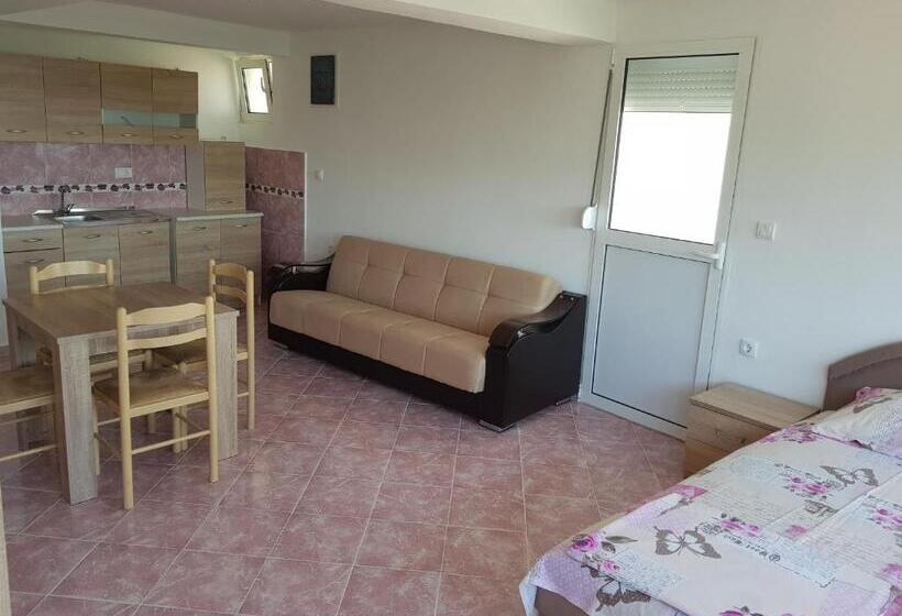 آپارتمان 1 خوابه با چشم‌انداز دریا, Guest House Dragomir