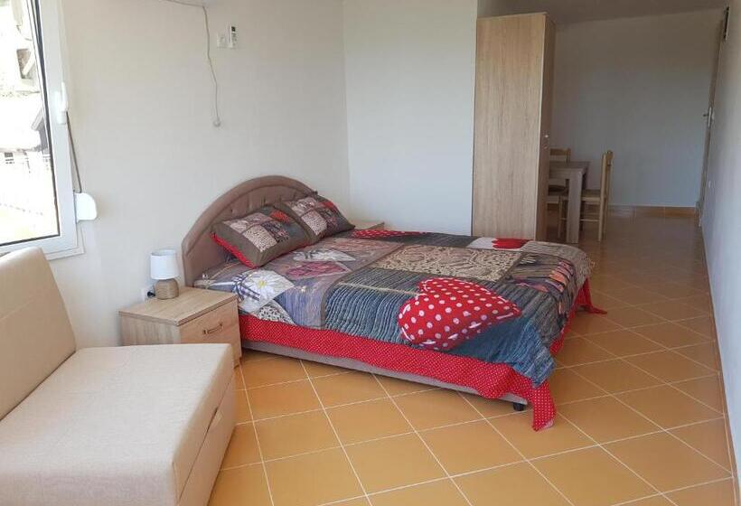استودیوی استاندارد با چشم‌انداز دریا, Guest House Dragomir