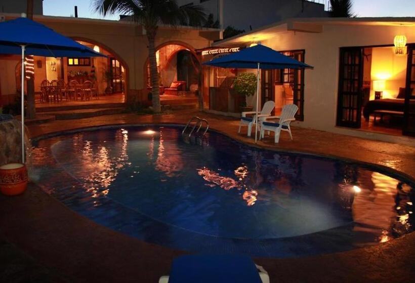 خانه 3 خوابه, Leo's Baja Oasis