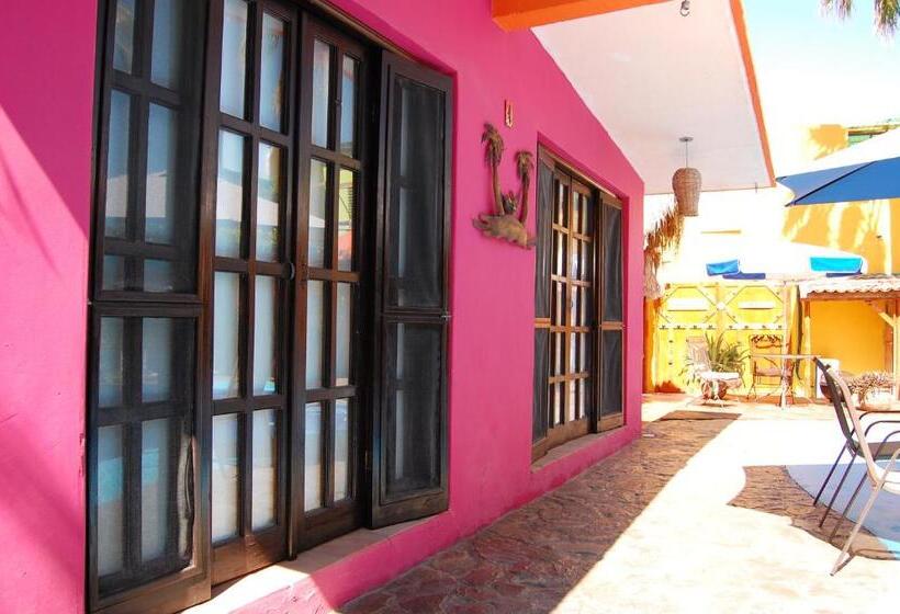 بانگلوی استاندارد, Leo's Baja Oasis