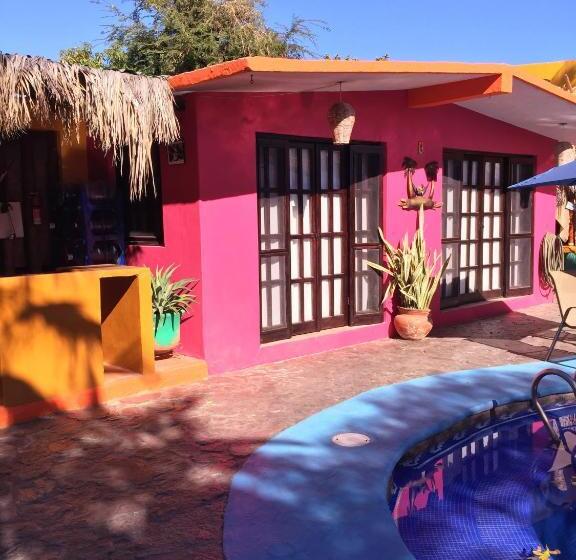 بانگلوی استاندارد, Leo's Baja Oasis