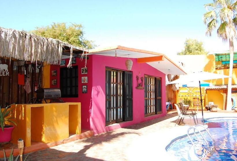 بانگلوی استاندارد, Leo's Baja Oasis