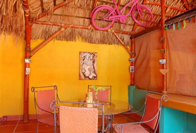 بانگلوی استاندارد, Leo's Baja Oasis