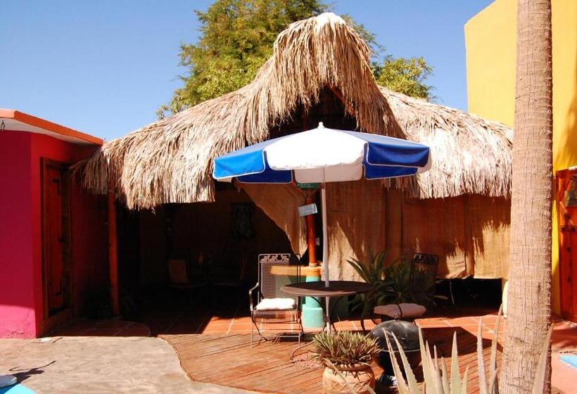 بانگلوی استاندارد, Leo's Baja Oasis