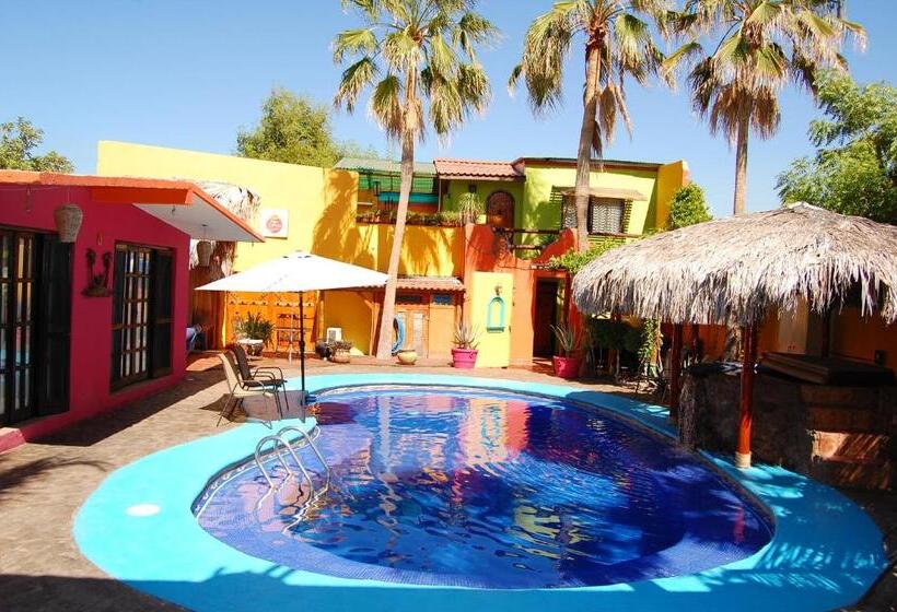 خانه 1 خوابه, Leo's Baja Oasis