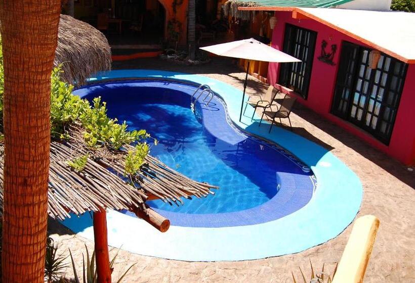 خانه 1 خوابه, Leo's Baja Oasis