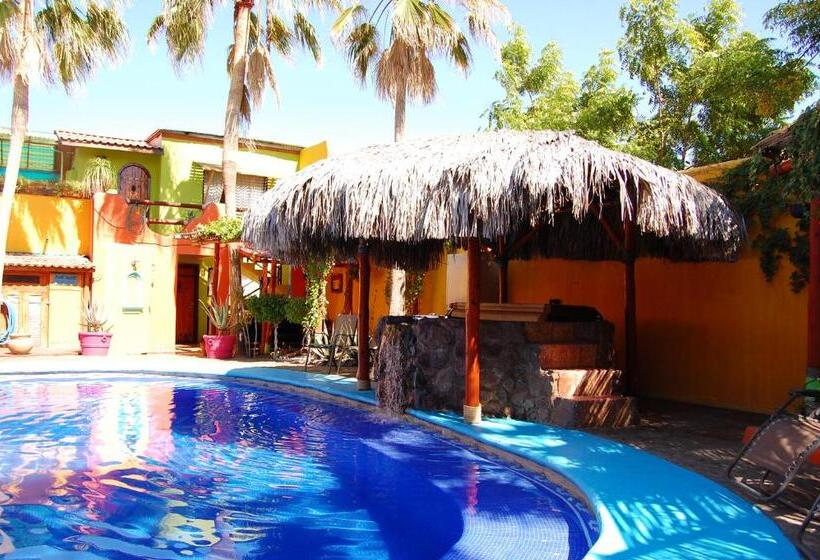 خانه 1 خوابه, Leo's Baja Oasis