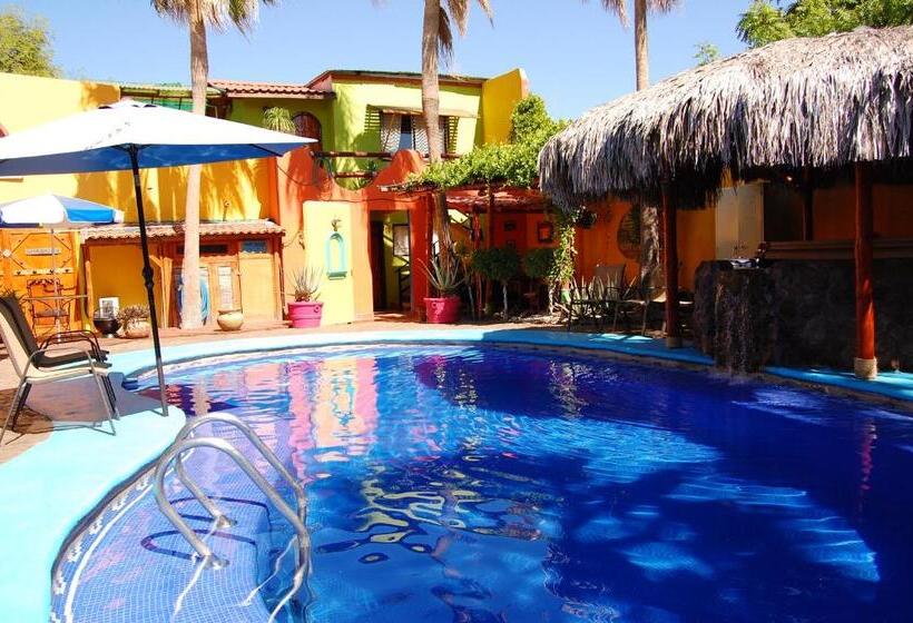 خانه 1 خوابه, Leo's Baja Oasis
