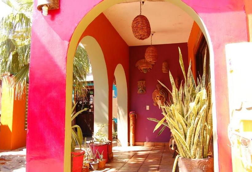 خانه 3 خوابه, Leo's Baja Oasis