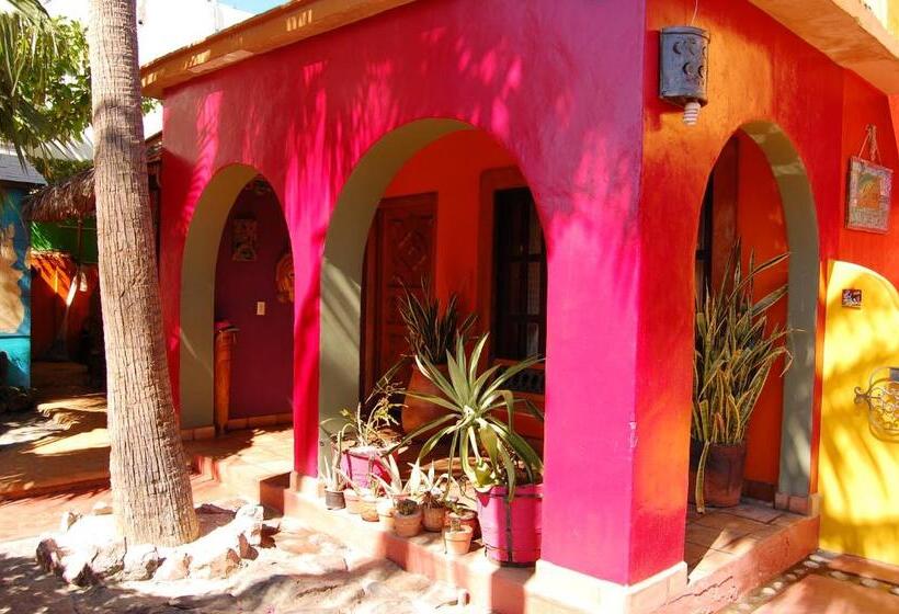 خانه 3 خوابه, Leo's Baja Oasis