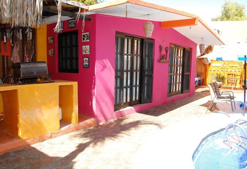 بانگلوی استاندارد, Leo's Baja Oasis