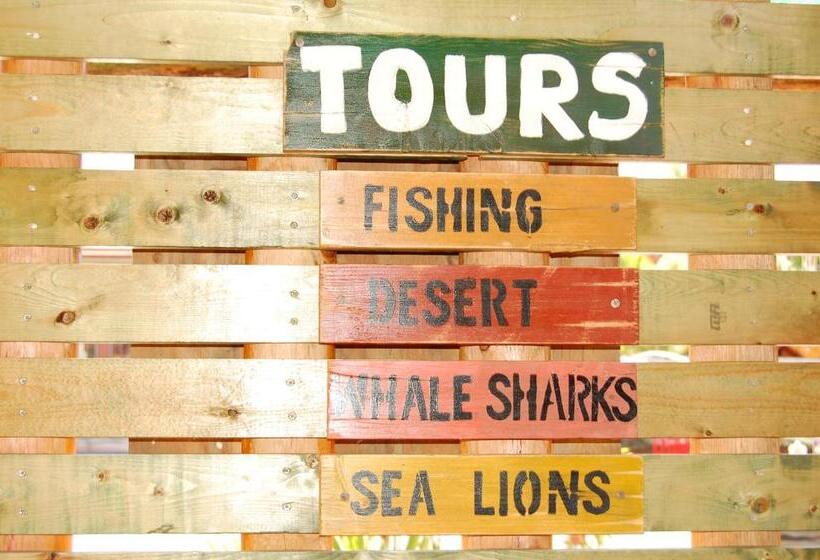 بانگلوی استاندارد, Leo's Baja Oasis