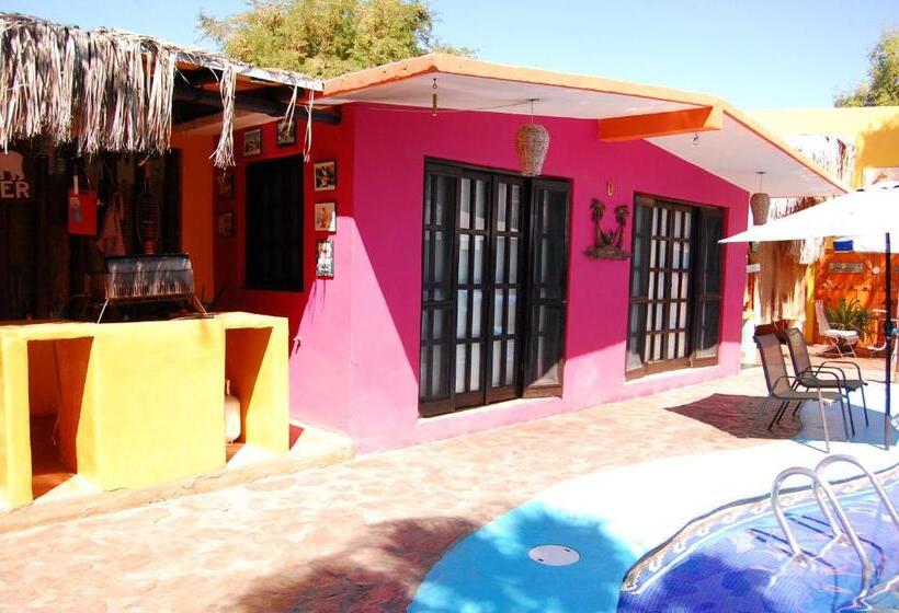 بانگلوی استاندارد, Leo's Baja Oasis