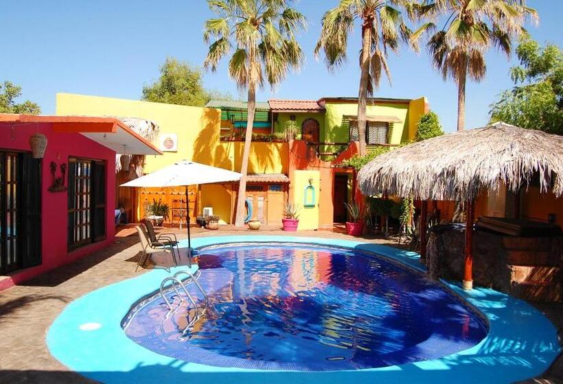 بانگلوی استاندارد, Leo's Baja Oasis