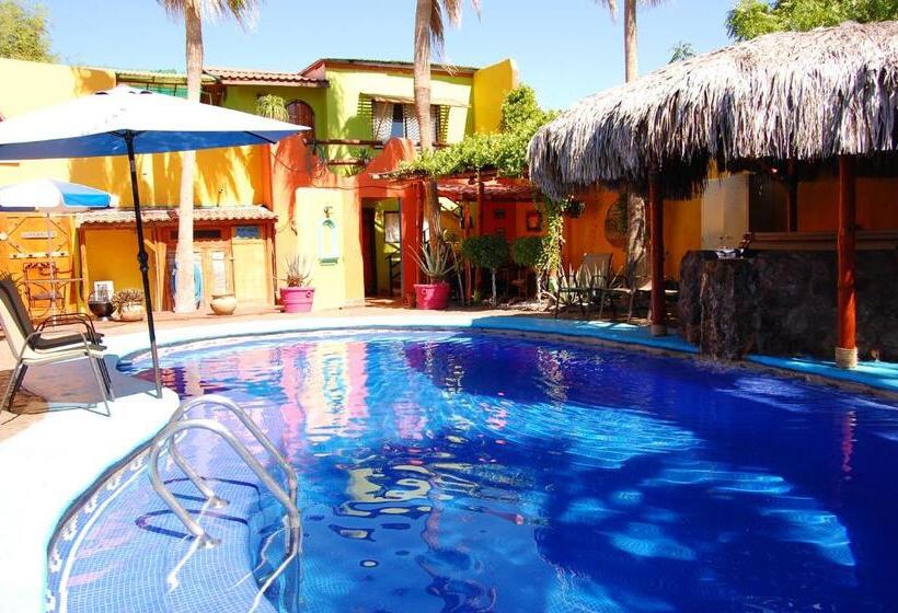 بانگلوی استاندارد, Leo's Baja Oasis