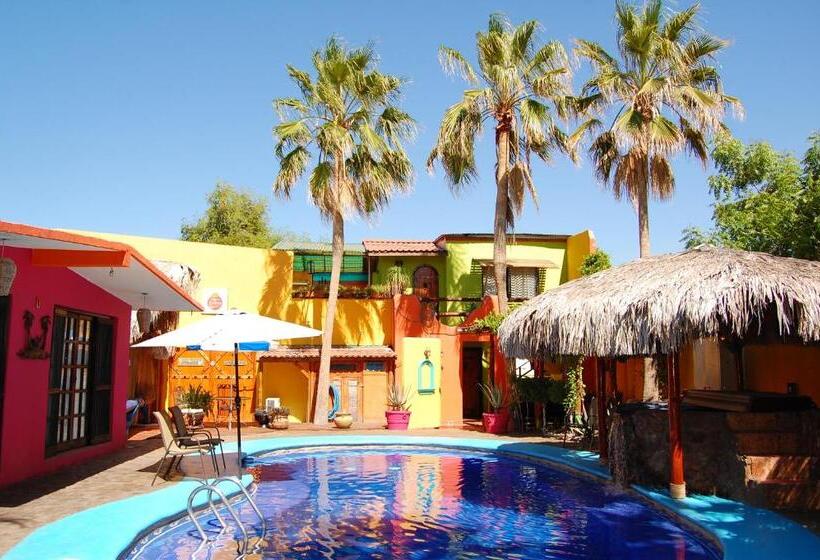 خانه 1 خوابه, Leo's Baja Oasis