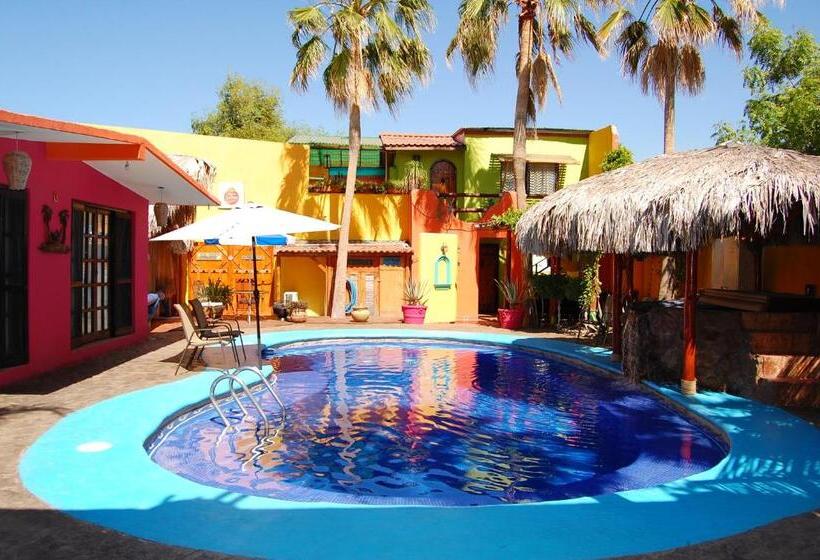 خانه 1 خوابه, Leo's Baja Oasis
