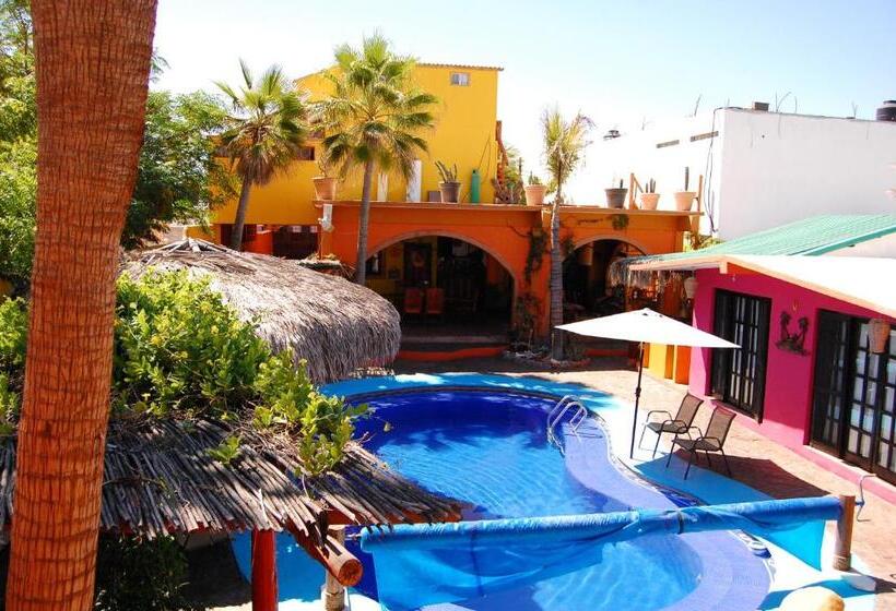 خانه 1 خوابه, Leo's Baja Oasis
