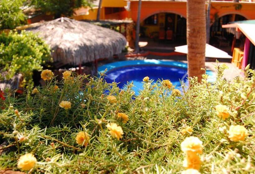 خانه 1 خوابه, Leo's Baja Oasis
