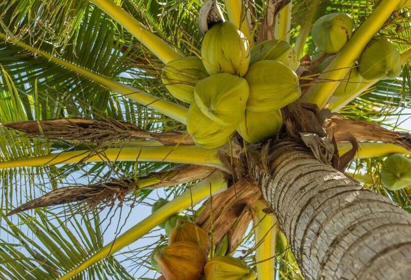 سرير فى غرفة مشتركه, Wild Pasir Panjang