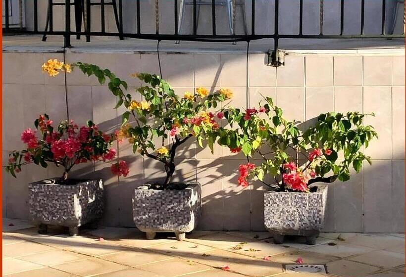 استودیوی استاندارد, Villa Labrousse