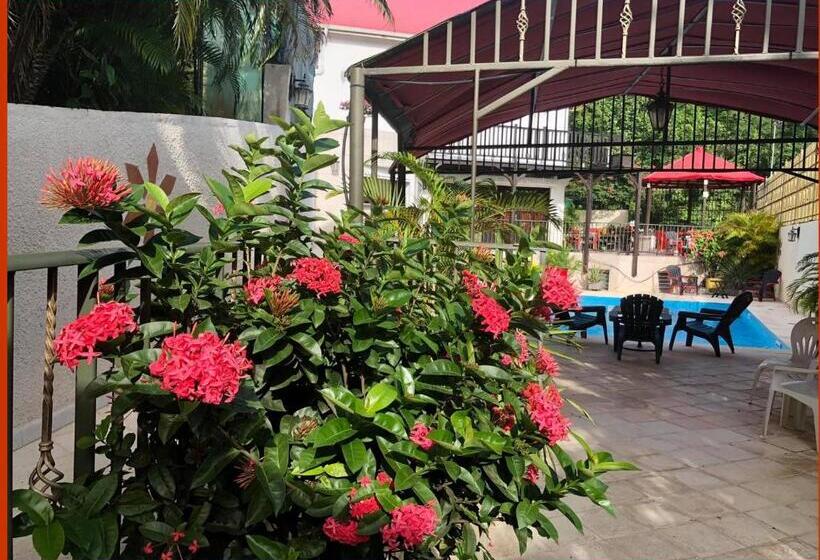 استودیوی استاندارد, Villa Labrousse