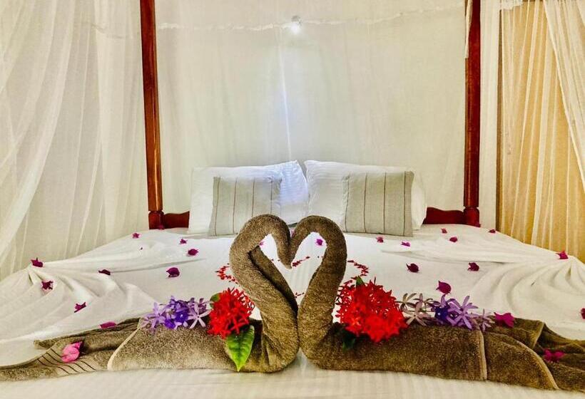 Номер Стандарт Вид на Море, Dilena Beach Inn