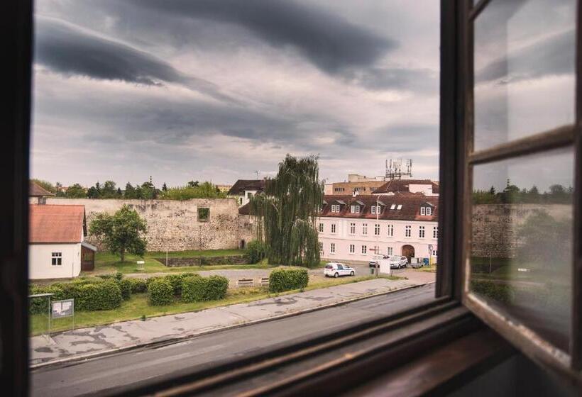 Номер Стандарт Трехместный, Guesthouse Zlatý Hrozen