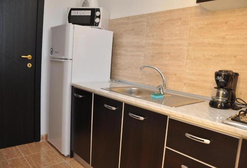 استودیو استاندارد با چشم‌انداز دریا و بالکن, Mamaia Summerland Apartments