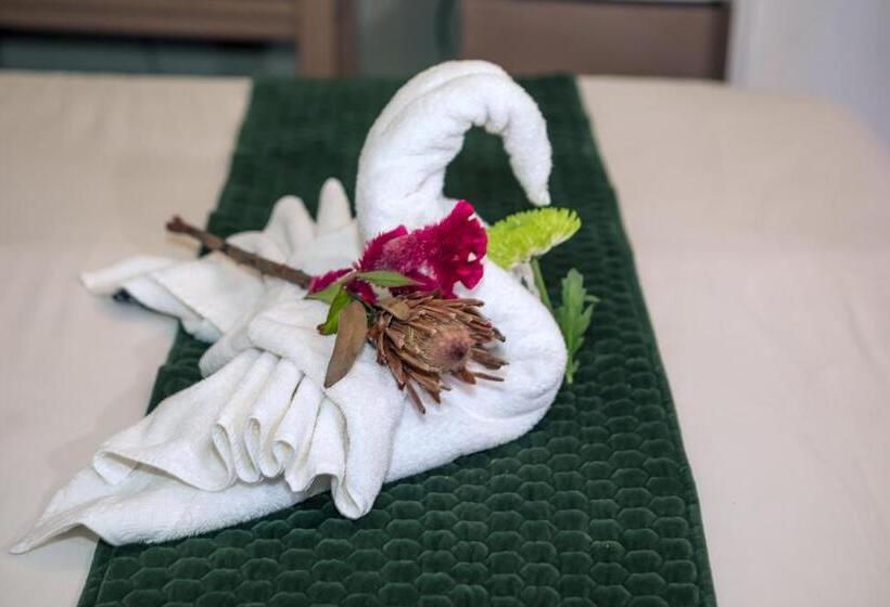 اتاق استاندارد, Big 5 Guest House Witbank