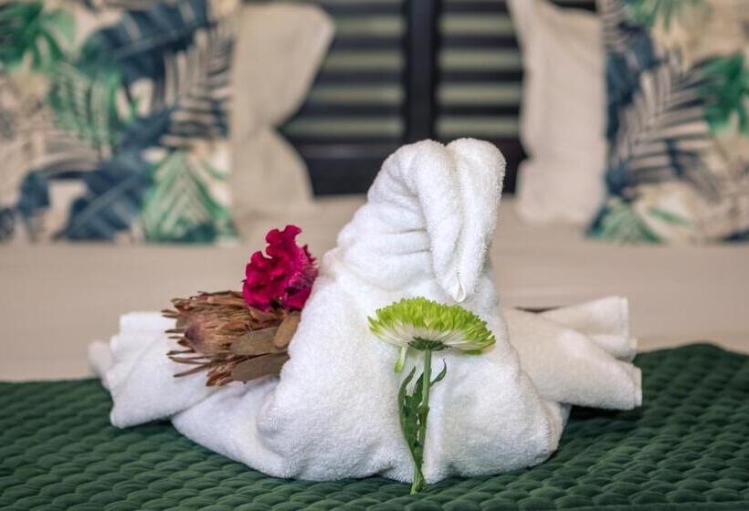 اتاق لوکس, Big 5 Guest House Witbank