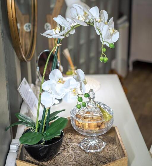 سوییت سوپریور, Big 5 Guest House Witbank