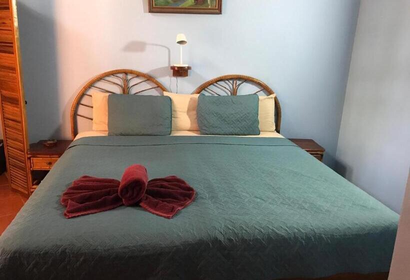 آپارتمان 1 خوابه همکف, Fenix Hotel   On The Beach