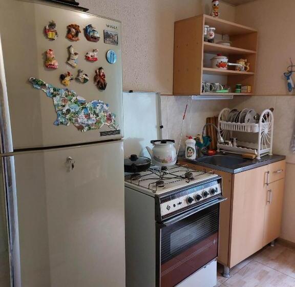 اتاق خانوادگی, Giorgi's Homestay