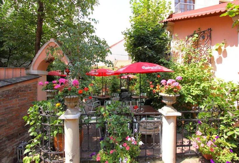 Quarto Estandar Individual, Penzion Kulíšek