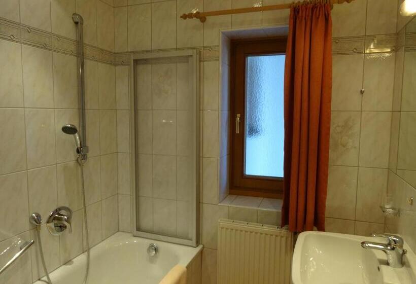 آپارتمان 1 خوابه با بالکن, Landhotel Eva