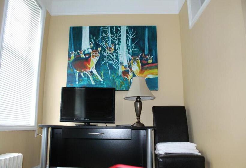 Chambre Standard, The Novel Stay