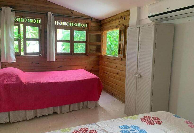 آپارتمان سوپریور 1 خوابه, Hostal Casaluna San Andres