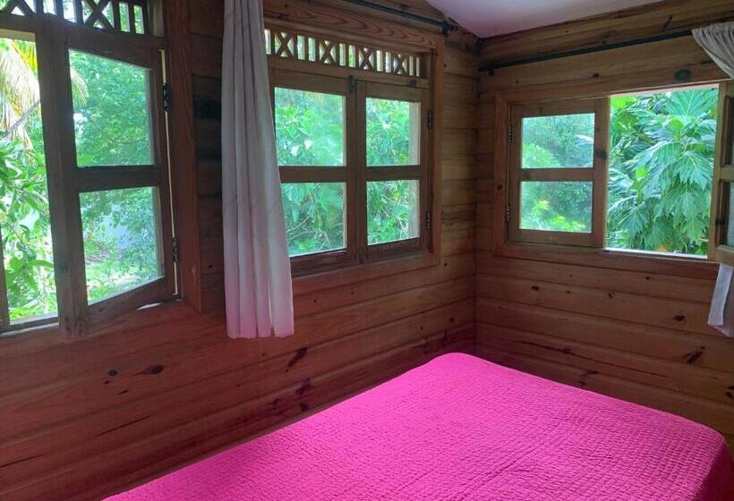 آپارتمان سوپریور 1 خوابه, Hostal Casaluna San Andres