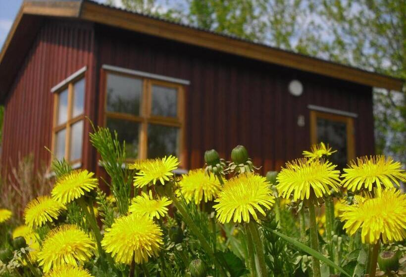کابین, Guesthouse Pétursborg