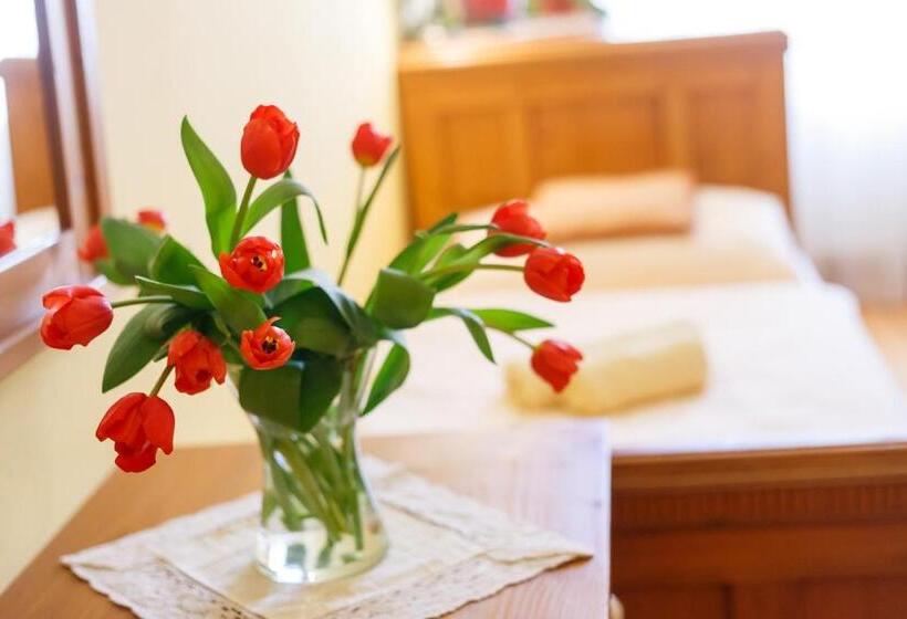 آپارتمان 1 خوابه, Pension Paseka