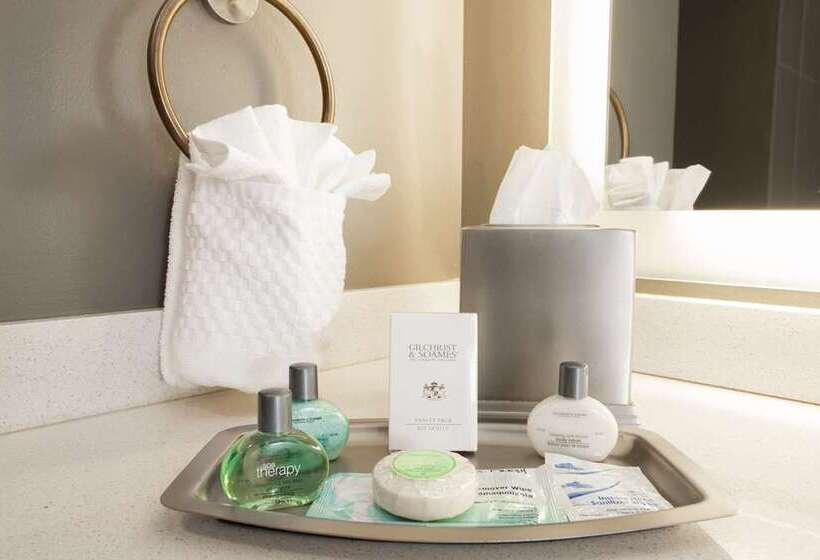 سوئیت با تخت بزرگ, Doubletree By Hilton Taipei Zhongshan